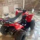 دباب تايواني