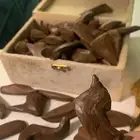 عود مروكي فاااخر