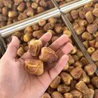 تمر سكري مفتل العدد 17 كرتون