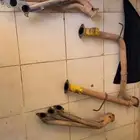 هدرز
