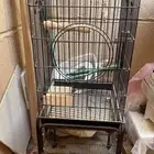 قفص ببغاء مع استاند لطيور أليفه