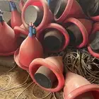 عوامات وعياشات طيور