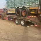لوبد بيشة