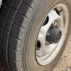 جنوط و كفرات ددسن