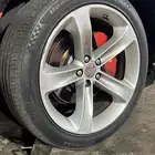 جنوط ارتي اصلي
