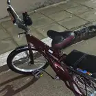 رامبو عشرين عنابي