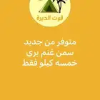 سمن غنم بري و مضير ابيض هش جديد بدون اي اضافات