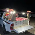 شد هايلكس 2014