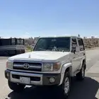 جيب ربع 2009 حكومي