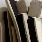 مجلس ارضي