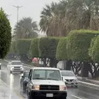 ربع 2009