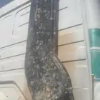 للبيع هوايه آلبي حقت 87 وفوق شريتها ماتركب عندي