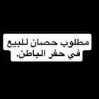 مطلوب خيل في حفر الباطن