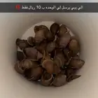 للبيع حلزون