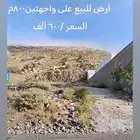 ارض الوسام 1الشعبتين