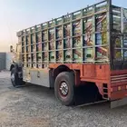 عااايدي نظيف