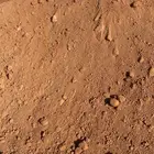 دفان وبطحاء