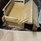 قطط سكوتش بيور و استريت