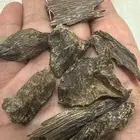 عود ماليزي ترنقانو نوادر