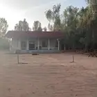 مزرعة