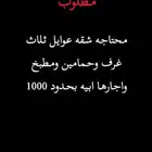 مطلوب شقه