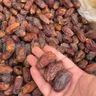 تمر صفري درجة أولى نقوة النخل