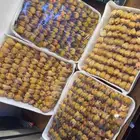 طيور الدخل تين فل شحم نظيف 100 ب 230