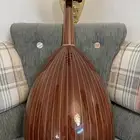 عود زرياب للبيع