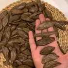 عود