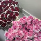 توزيعات ورد للمناسبات   ورد طبيعي بالجمله