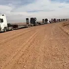 لوبد في القصيم بريده