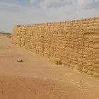 تبن العام الماضي عدد 27000