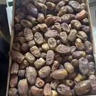 قشر داحسيه