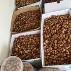 تمر للبيع