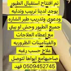 تدريب و تربيب جميع انواع الصقور