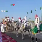 خيل للحفلات والعرض