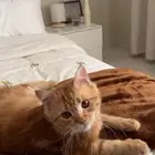 الخرج