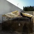 شبك
