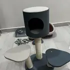مستلزمات قطط