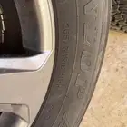جنوط لاند 2022