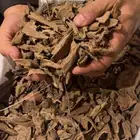 بخور كلمنتان طبيعي غير محسن كمية محدودة