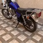 دباب برنقي 2024