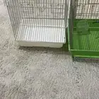 شبك طيور
