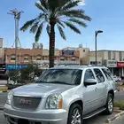 جمس دينالي 2011