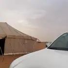 للبيع خيمه ماجد القحطاني عمودين