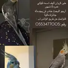 طير كراون مفقود