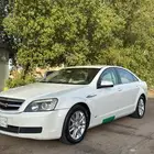 كابرس 2013 وكااله