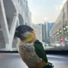 بايك هدد داخلي وخارجي