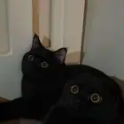 للبيع