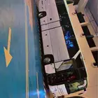 باصات